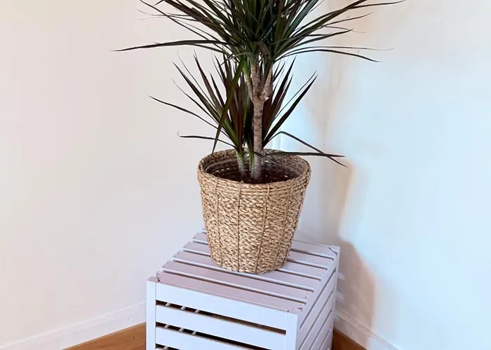 Apartament Eva's Seeblick