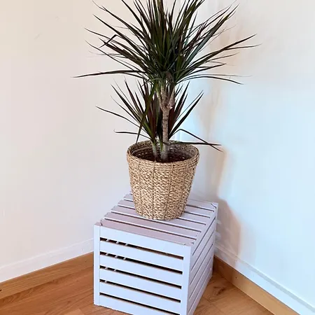 Apartman Eva's Seeblick